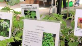 Asheville Herb Festival [upl. by Baillie]