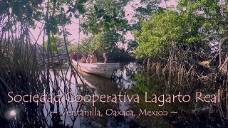 Rebuilding a mangrove swamp in La Ventanilla Oaxaca Mexico English subtitles [upl. by Rudie]