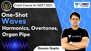 Phoenix 20 Physics Most Important Video for NEET 2025  Unacademy NEET Toppers  NEET [upl. by Nauqel760]