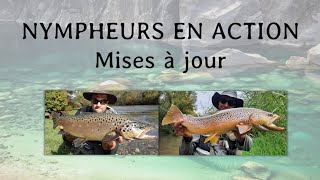 Financement « Nympheurs en action » 1200  2000 € Mises à jour [upl. by Nilam849]