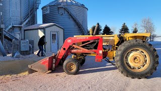 We SPILLED CORN While Loading the Truck Touring a NEW Hog Barn with Randy [upl. by Zavras]