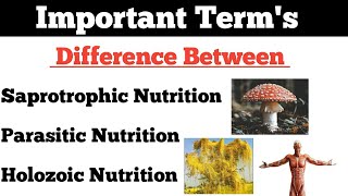 Nutrition Saprotrophic Nutrition  Parasitic Nutrition  Holozoic Nutrition  By Dadhich Sir [upl. by Sitruk]