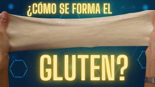 Ciencia del gluten ¿qué es y como se forma [upl. by Gillespie174]