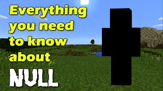 Everything you need to know about Null  Minecraft [upl. by Abihsat]