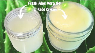 How To Make Fresh ALOE VERA Gel amp Aloe Vera Face Cream From Scratch [upl. by Pernell896]