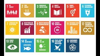 The SDGs issues and challenges [upl. by Haleelahk]