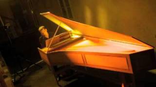 JPh Rameau Les sauvages  Luca Oberti harpsichord [upl. by Erina]