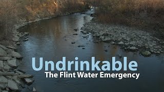 Undrinkable The Flint Water Emergency [upl. by Mandy24]