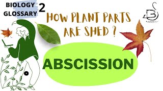 ABSCISSION  PLANT PHYSIOLOGY [upl. by Jeromy]