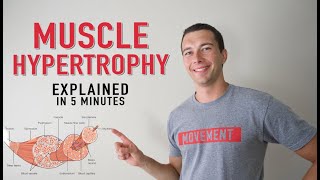 What is Muscle Hypertrophy  Physiology and Mechanisms of Muscle Growth in 5 minutes [upl. by Yesmar]