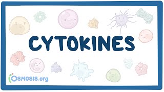 Cytokines [upl. by Malley28]