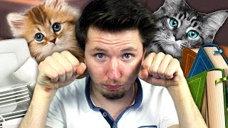 LES CHATS SONT DES DEMONS  Cat lateral damage [upl. by Durand77]