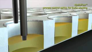 ELISA plate washing with HydroFlex™ microplate washer [upl. by Kelcie]