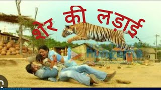 Himmatwala  ajay devgan  Sher ki ladai  tiger fight  Rajvarsha gaane4U [upl. by Eissirk339]