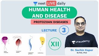 Human Health amp Disease  L3  Protozoan Disease  Unacademy NEET  LIVE DAILY  Biology  Sachin Sir [upl. by Ecallaw]