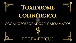 Toxicología clínica 2  Síndrome colinérgico organofosforados y carbamatos [upl. by Honeyman937]