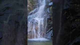 October 8 2024  Waterall Waterfall Mountain Nature [upl. by Disini]