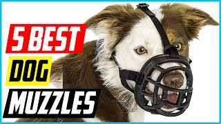 Best Dog Muzzles 2021 Top 5 Picks [upl. by Drwde776]