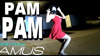 BUDOTS DANCE PAM PAM REMIX [upl. by Calan]