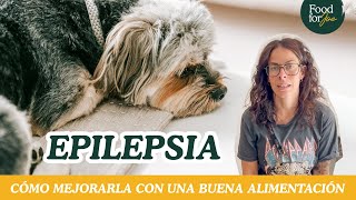 Epilepsia en perros 🐕 Cómo mejorar con una alimentación natural cocinada 💚 [upl. by Mimajneb235]