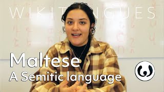 The Maltese language casually spoken  Elena speaking Maltese  Wikitongues [upl. by Holle]