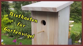 Nistkasten selber bauen  aus Holz  Nisthilfe  Gartenvögel [upl. by Ardnas]