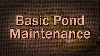 Basic Pond Maintenance – Family Plot [upl. by Moraj586]