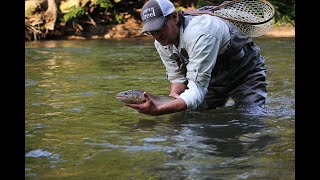 The Esopus CreekA Wild Fishery by Todd Spire [upl. by Nnyledam]