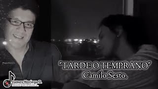 TARDE O TEMPRANO Camilo Sesto [upl. by Scheer661]