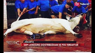 Sapi 15 Ton Milik Presiden Jadi yang Pertama Disembelih di Masjid Istiqlal  Special Report 2308 [upl. by Ecirrehs460]