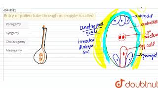 Entry of pollen tube through micropyle is called [upl. by Noreh735]