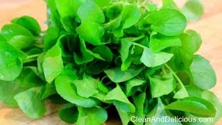 Watercress 101  Everything You Need To Know [upl. by Nnahteb]