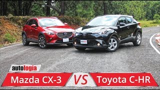 SEAT Ibiza 2019 vs Mazda 2  Nosotros te decimos cuál es el MEJOR  Motoren Mx [upl. by Pacorro]