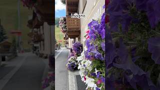 Livigno für deinen nächsten Wochenendausflug italia italy travel traveling italien италия [upl. by Atolrac]