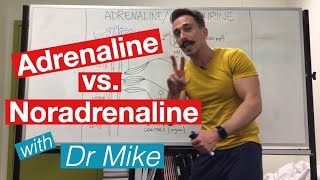 Adrenaline versus Noradrenaline  epinephrine versus Norepinephrine [upl. by Niatsirk550]