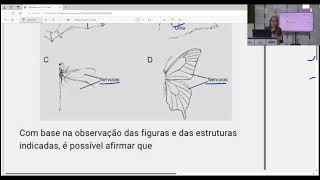 Resolvendo questões de vestibular Biologia questão 13 Órgãos homólogos e análogos [upl. by Attenweiler]