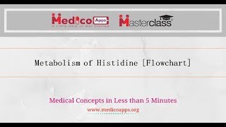 METABOLISM OF HISTIDINE [upl. by Cower]