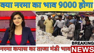 क्या नरमा का भाव बढ़ेगा 2023 में  आज का नरमा भाव  kapas bhav today  narma ka bhav today  cotton [upl. by Acireh400]