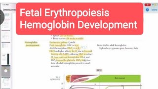 Fetal erythropoiesis amp Haemoglobin development haematology 1First Aid USMLE Step 1 in UrduHindi [upl. by Kinchen445]