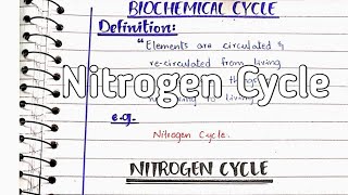 Nitrogen cycle  Nitrogen fixation [upl. by Nnyltiak751]