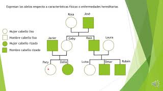 Arbol genealogico con fenotipo [upl. by Key]