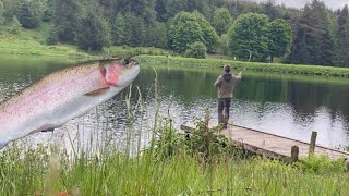 Fishing for trout in ScotlandFly fishing [upl. by Favata]