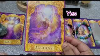 YES OR NO tarot reading  pick a card  english amp hindi  timeless tarot [upl. by Annadroj313]