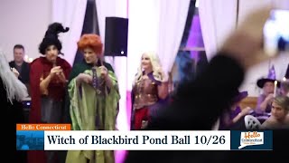 Witch of Blackbird Pond Ball [upl. by Waterman]