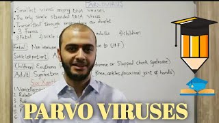 Microbiology  PARVO VIRUS  DNA Viruses  HIGH YIELD [upl. by Eek708]