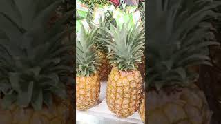 Delmonte pineapples healthy fruits  shorts video [upl. by Bate126]