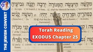 Exodus Chapter 25  Torah Reading in Hebrew with English Translation  TORAH STUDY [upl. by Adnic]