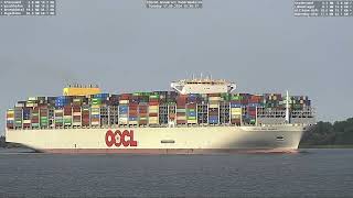 OOCL ABU DHABI auf der Elbe – 17 September 2024 [upl. by Hamlet]