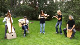 Irish Traditional Music  WANT TO DANCE  Celtic Ireland with Violin [upl. by Terriss]