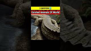 3 सबसे ख़तरनाक😱Existed Animals Of World  Dangerous Animals  shorts youtubeshorts shortsfeed [upl. by Idelson]